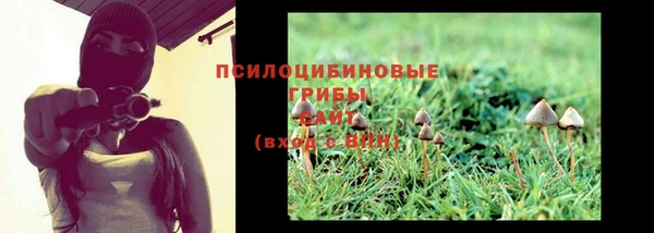 дмт Баксан